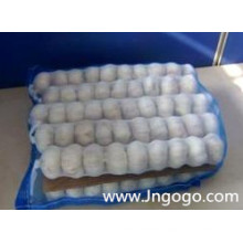 20kg Mesh Bag Packing Pure White Garlic